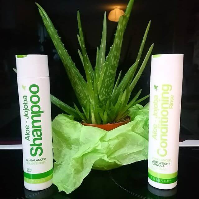 شامپو جوجوبا فوراور حاوی روغن گل سرخ و لاوندر